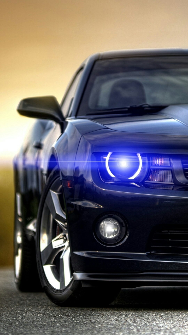 muscle