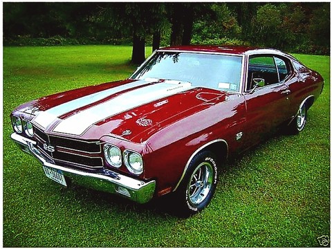 '73 Chevelle SS