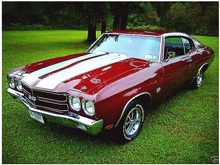 '73 Chevelle SS