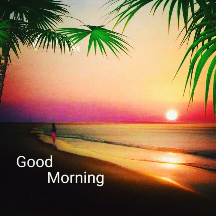good morning