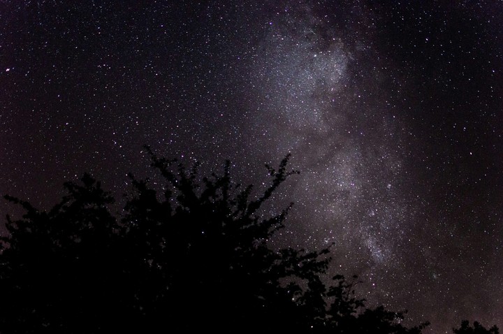 stars