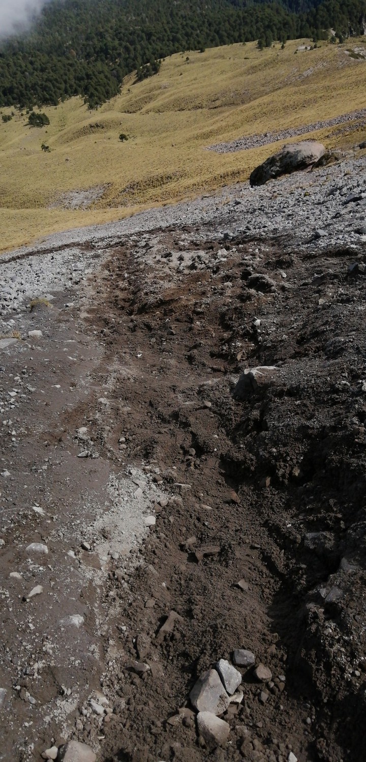 malinche