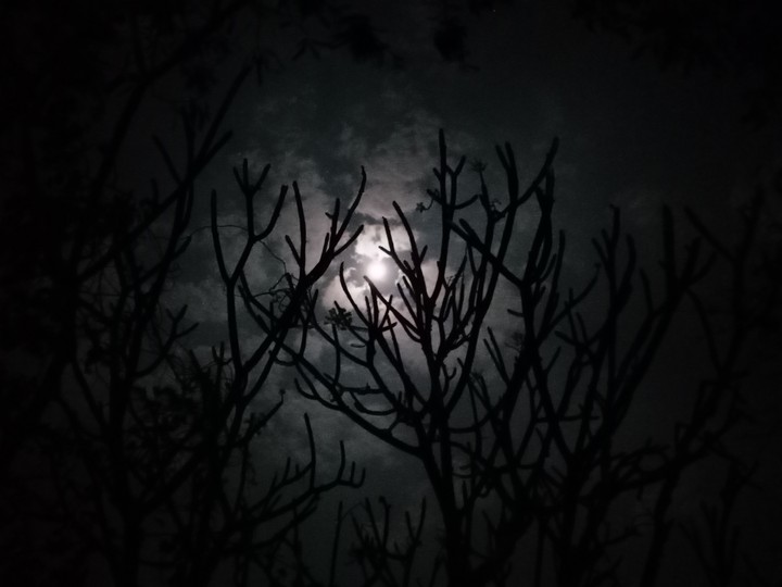 Full moon