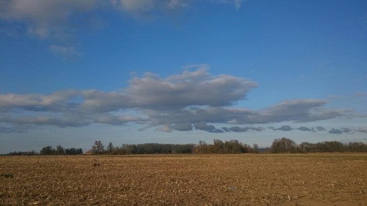 Automn