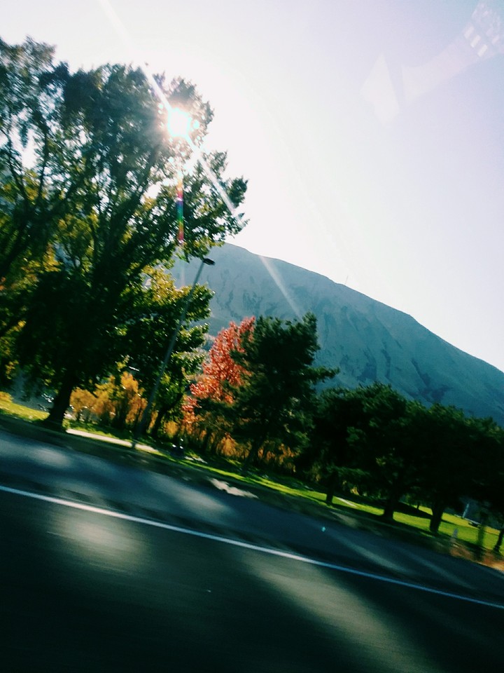 My view out the car window