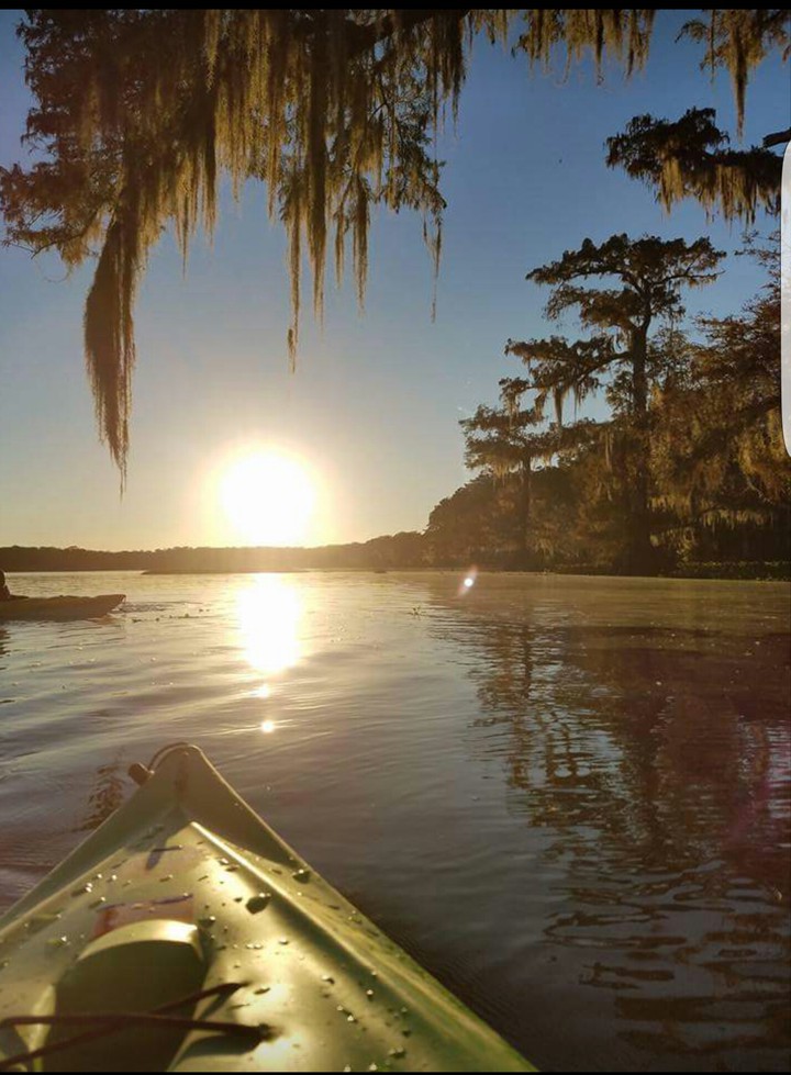 Sunset in the Swamp
