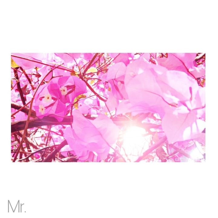 spring