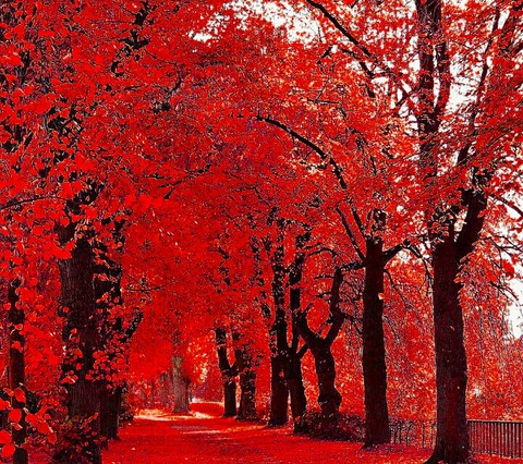 red