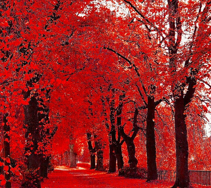 red