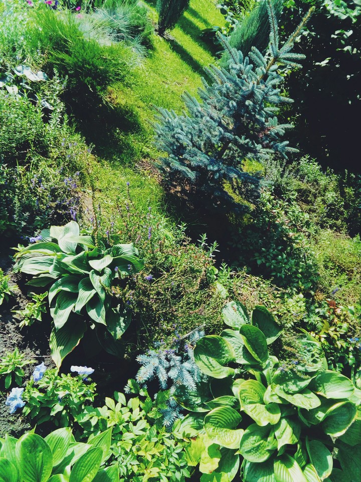 green