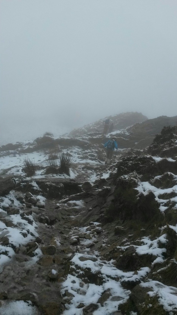 Paisaje invernal