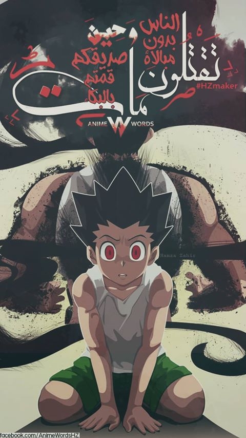hunter x hunter