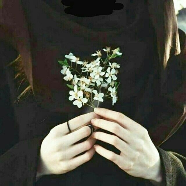 fetishist's dream