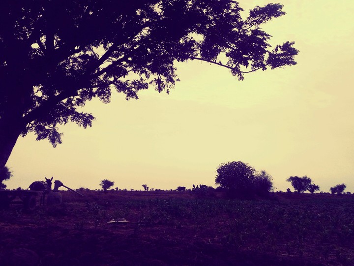 SunRise In Village