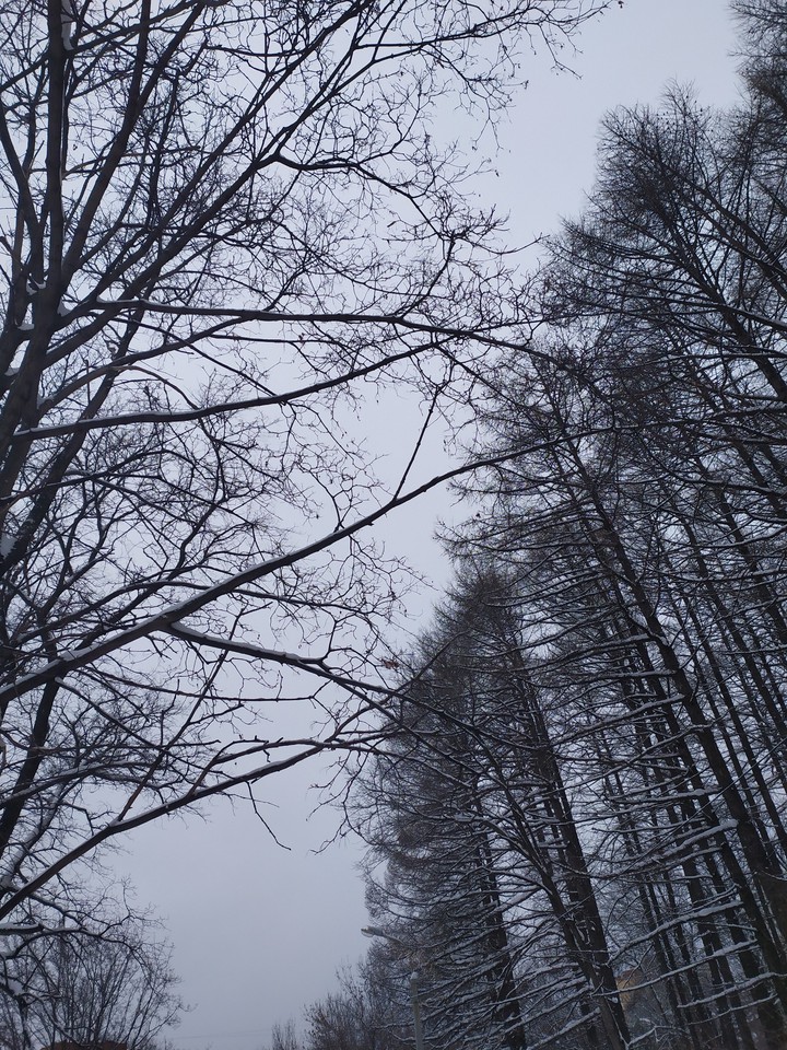 зима