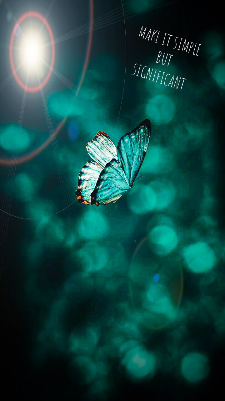 butterfly