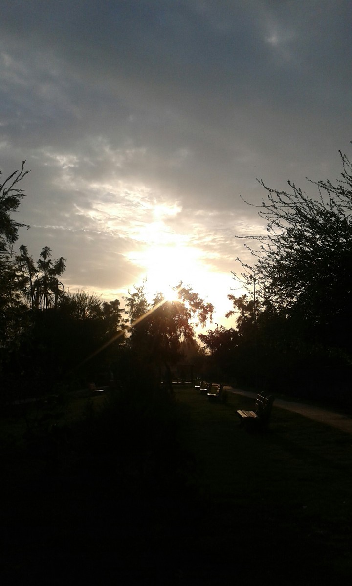 sun