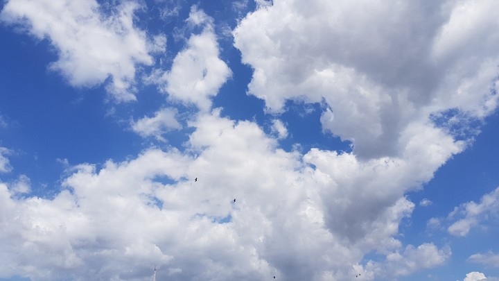freedom