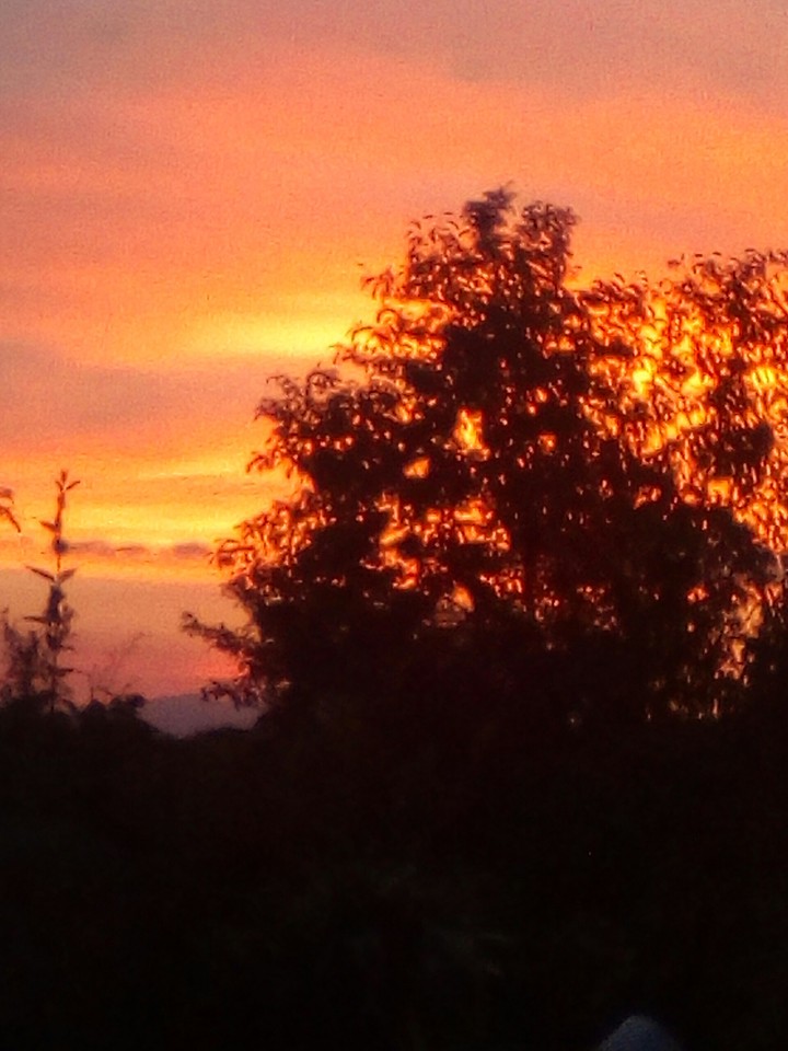 sunset