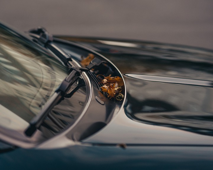 Autumn car