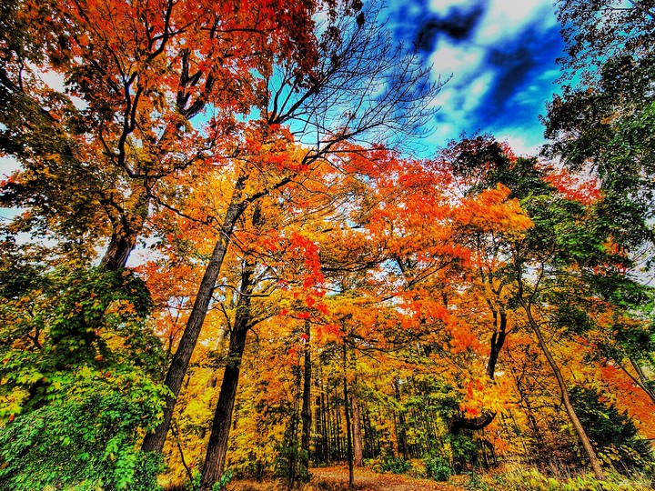 autumn