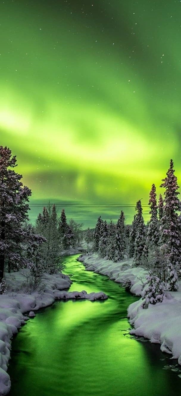тапети nature, reflection
