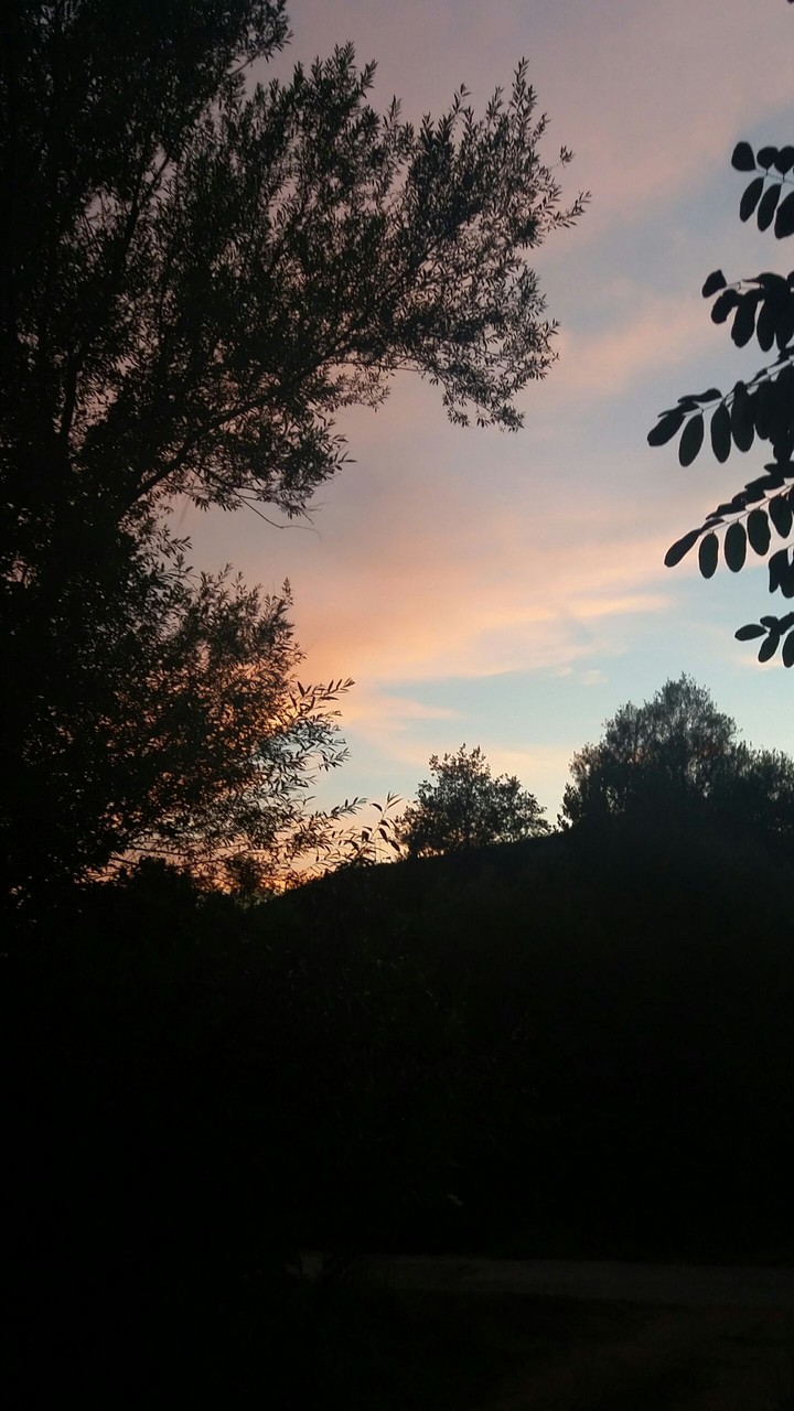 nature