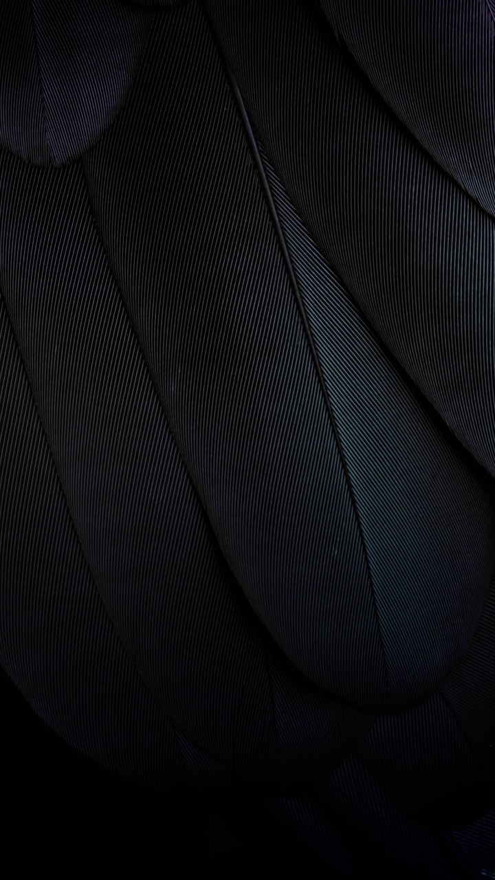 Dark feather