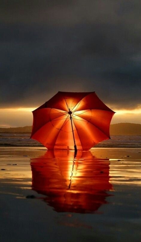 parapluie