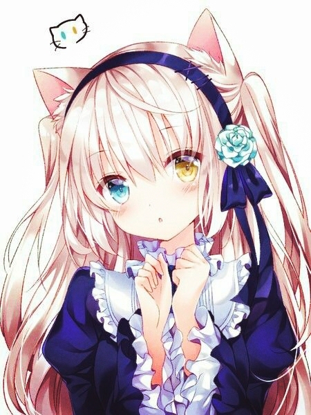 kawaii neko