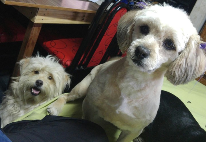 mis bbs