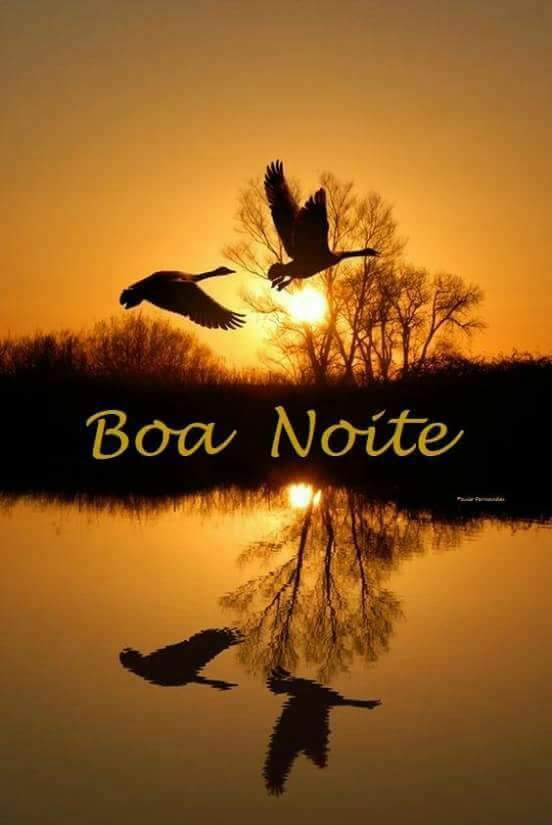 por do Sol