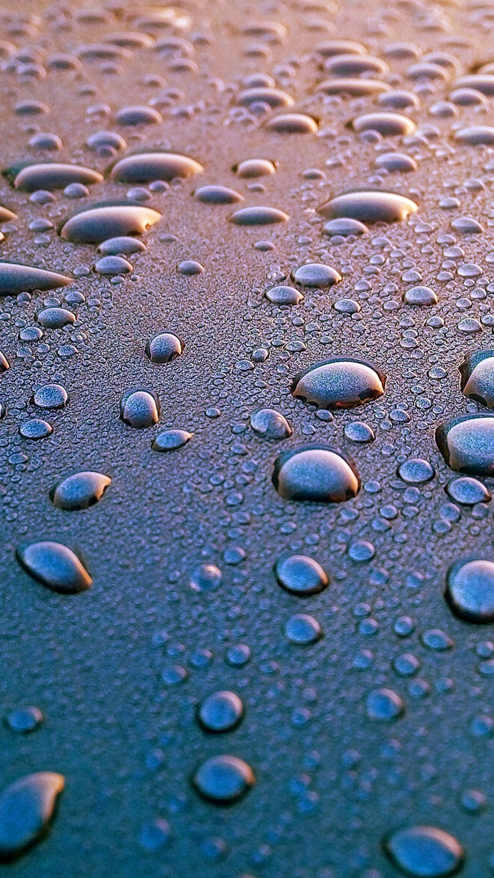 Water Drops