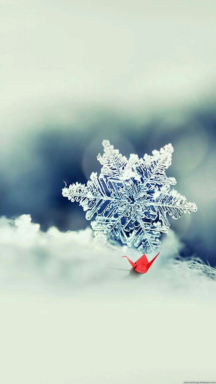 nieve