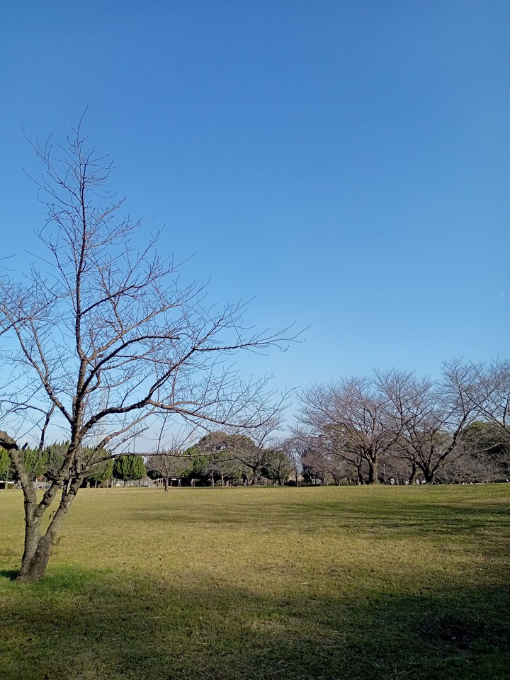 sky