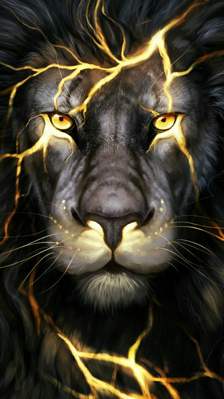 Telegram=@wallpapers_phone_pc