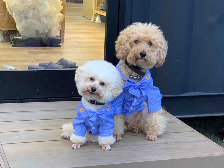 Lucky & Money