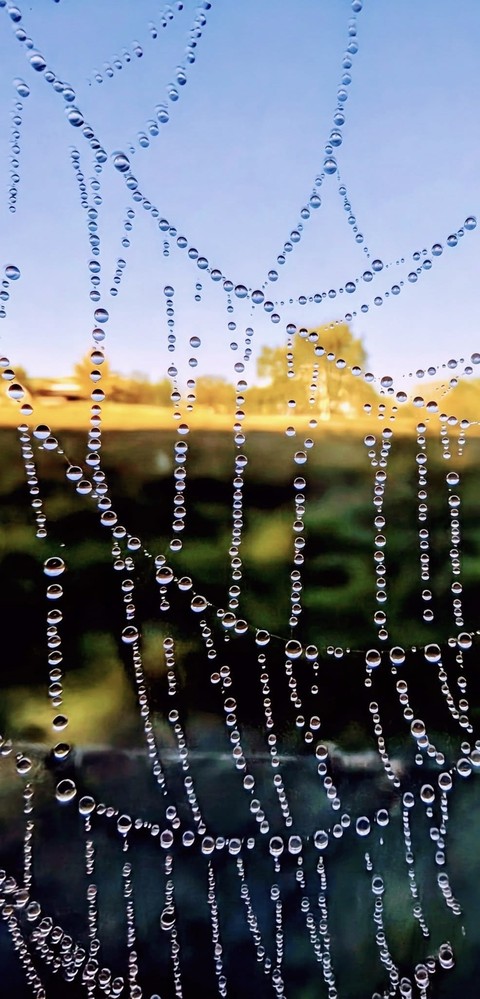 Drops
