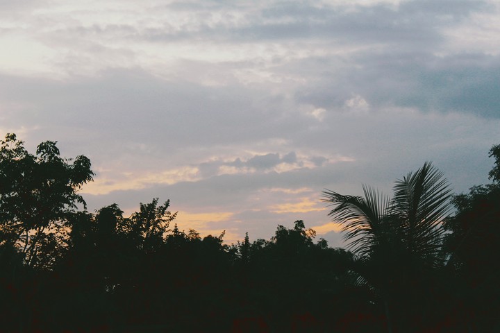 shadow