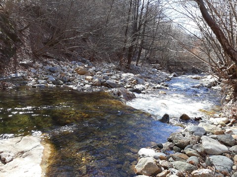 Fiume4