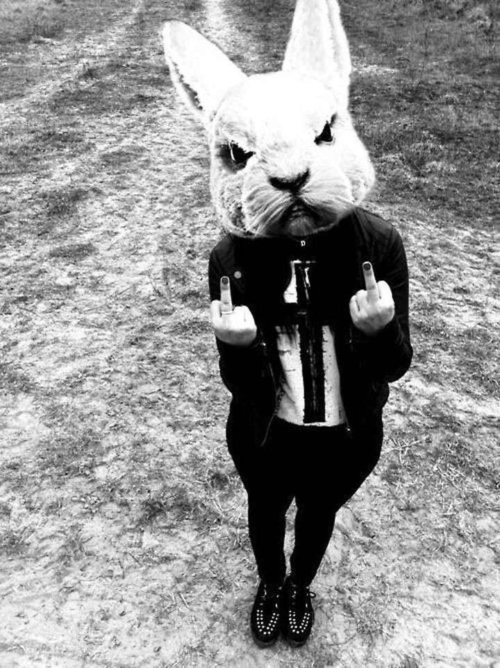 Fuck rabbit