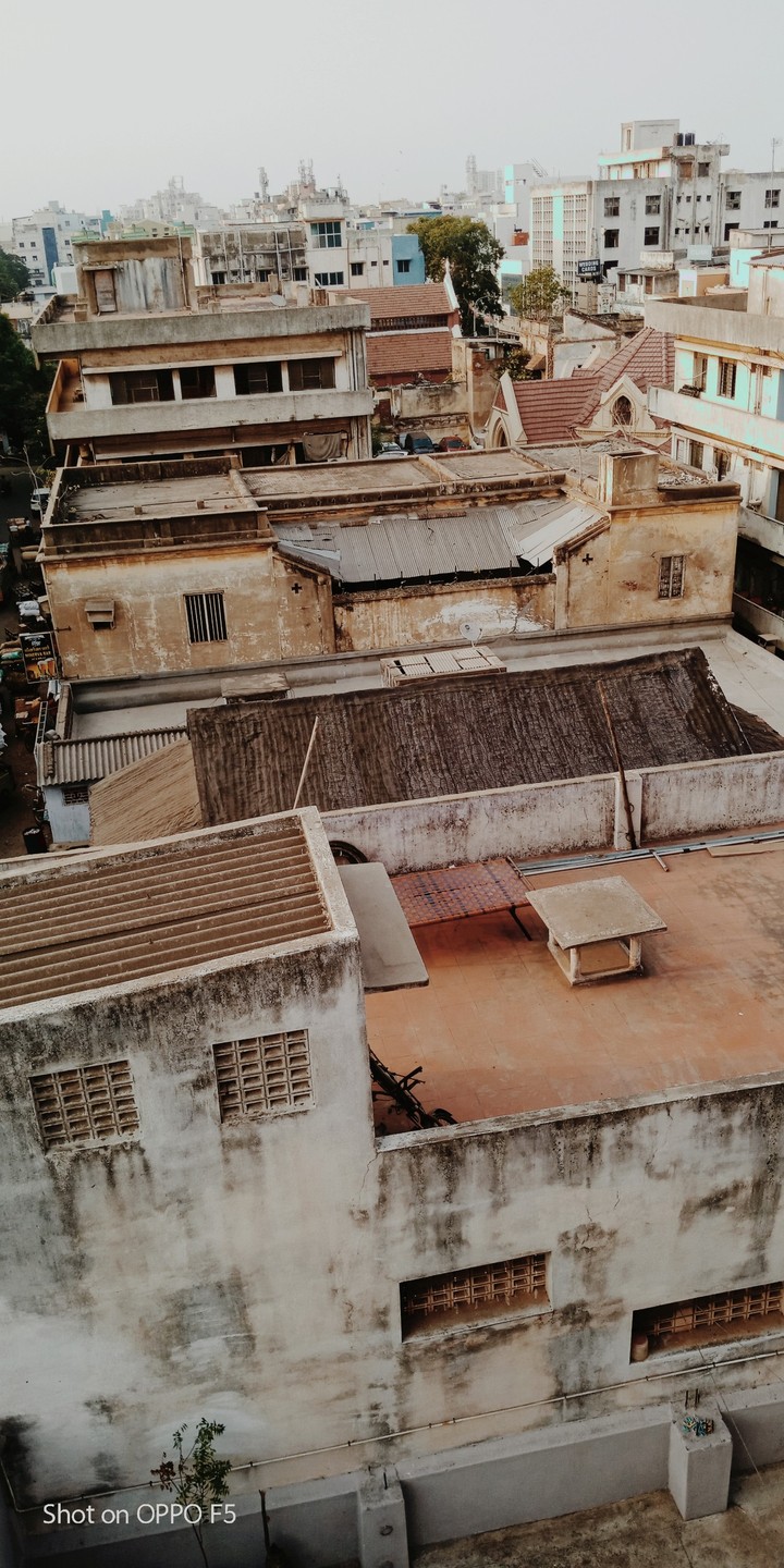 Chennai parrys
