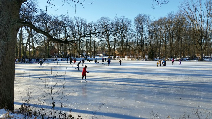 Winter in The Netherlands 2021.