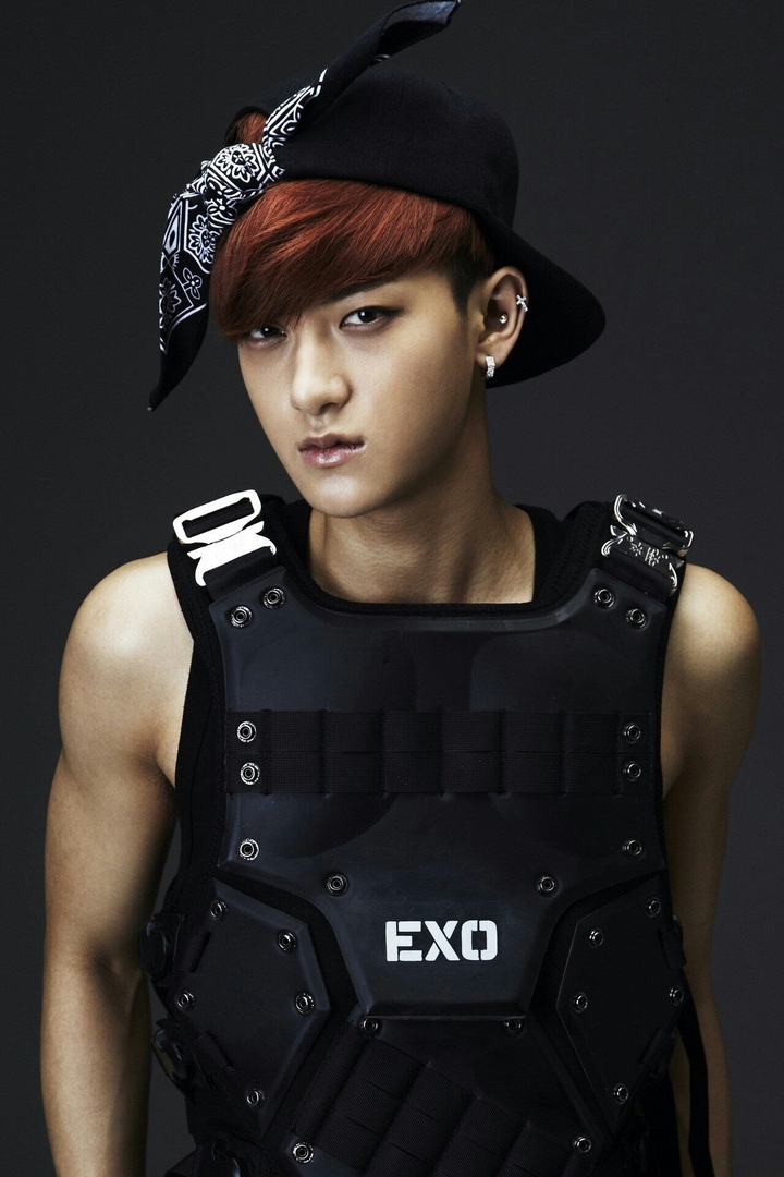 Exo Tao