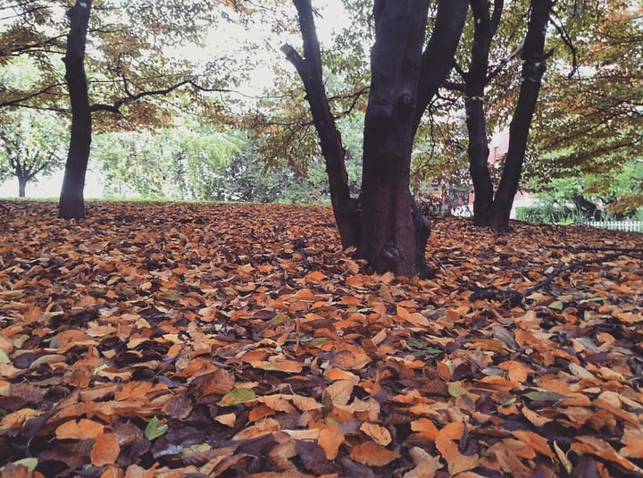 autunno
