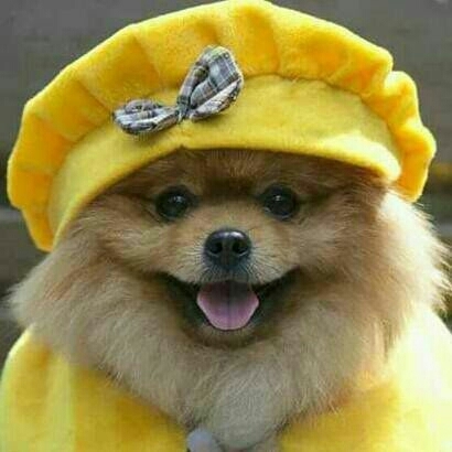 cute