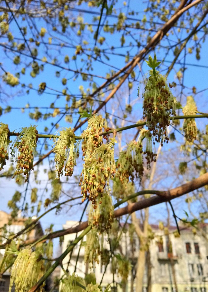 The Spring... finally...