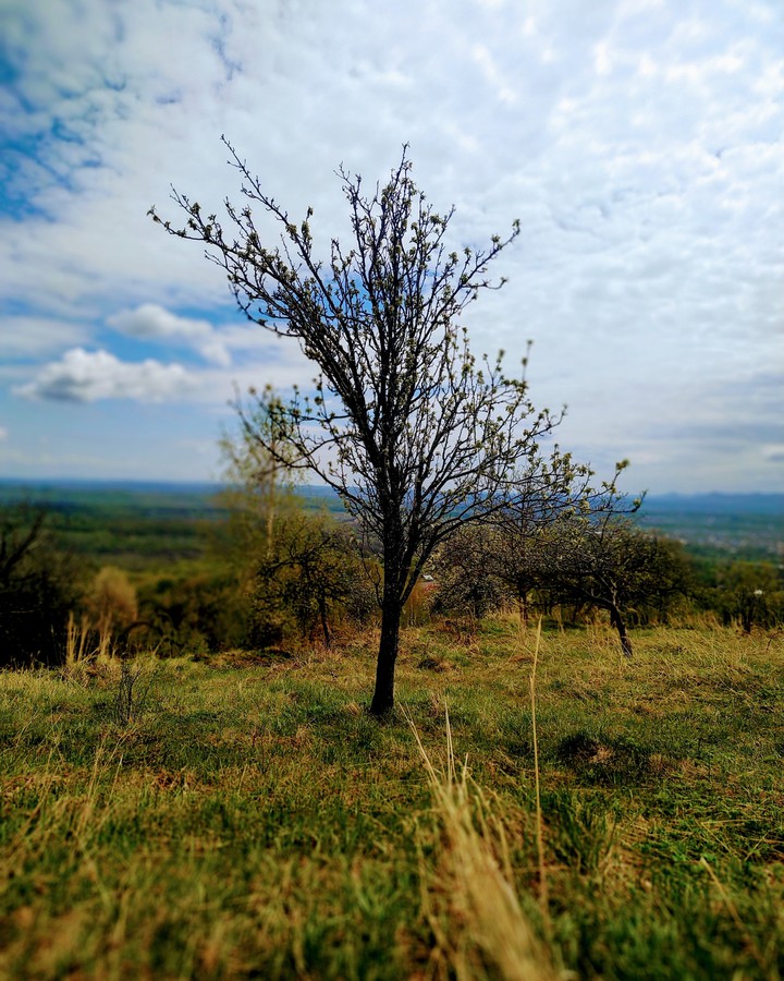 Nature