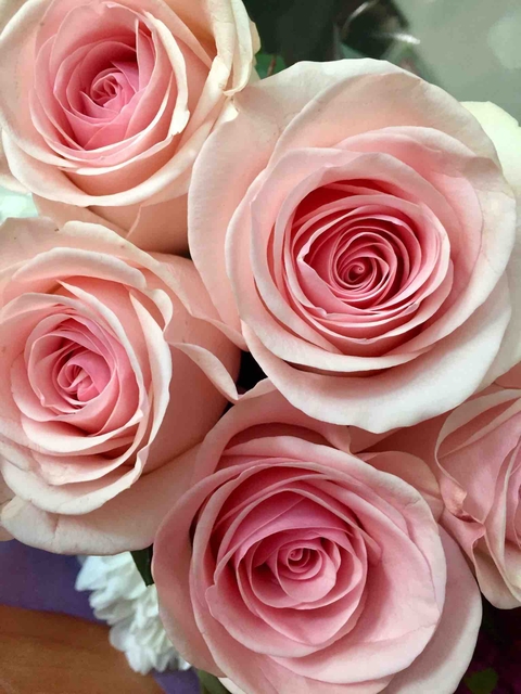 Roses