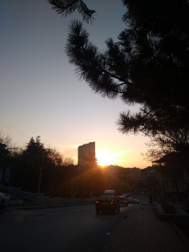 sunny